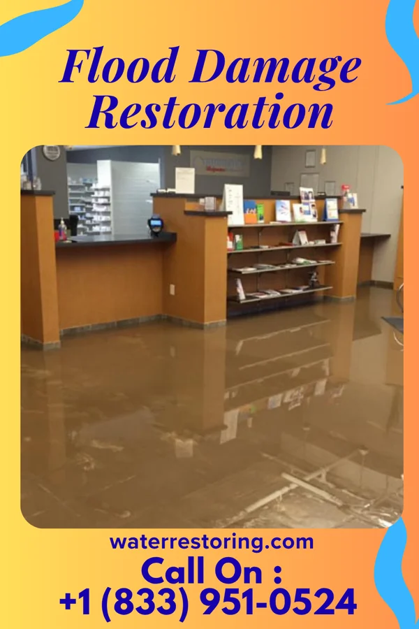 Flood Damage Restoration in Pastoria, VA