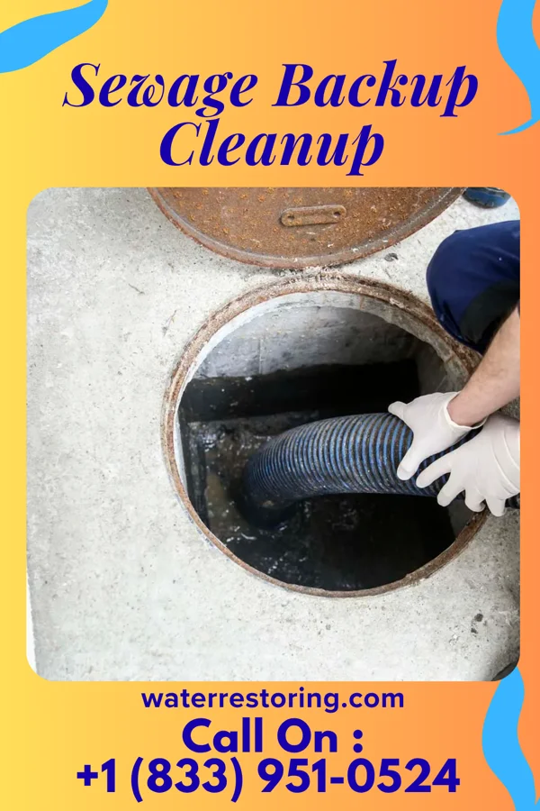 Sewage Backup Cleanup in Pastoria, VA