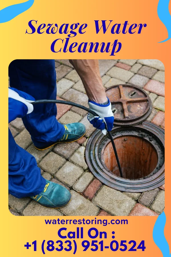 Sewage Water Cleanup in Pastoria, VA