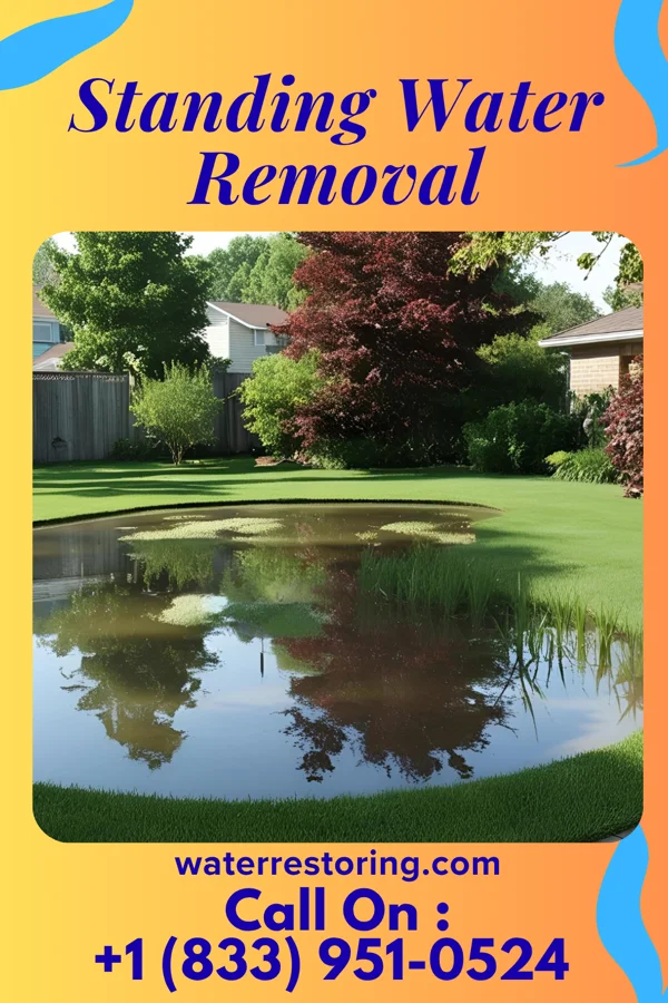 Standing Water Removal in Pastoria, VA